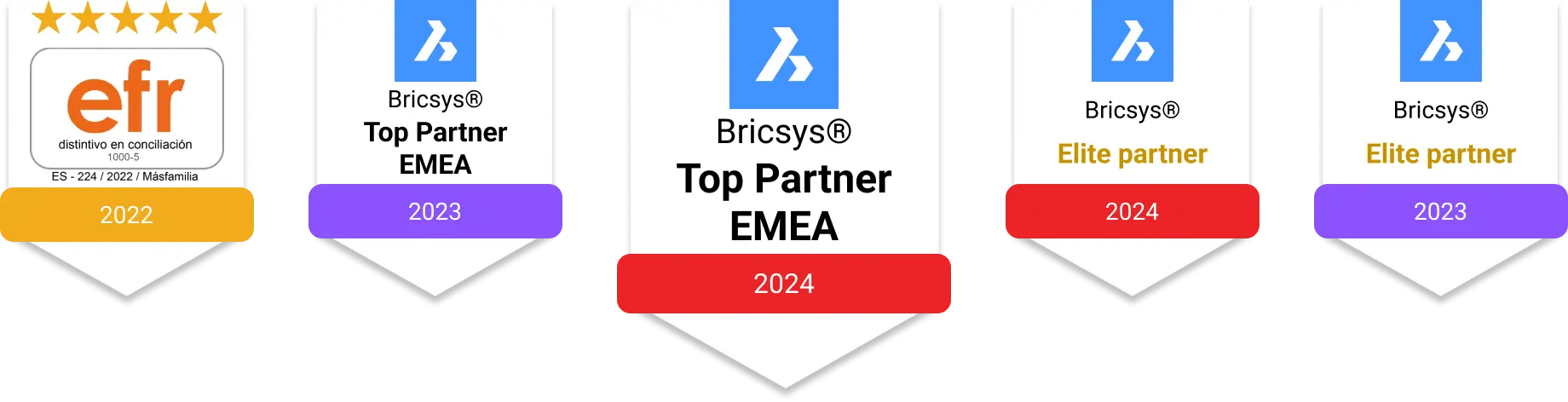 Top_Partner_EMEA